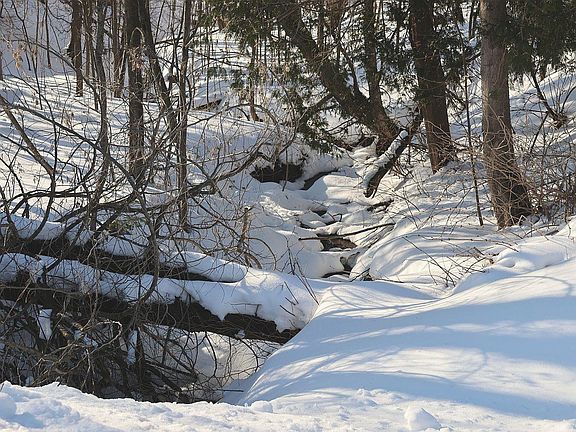 3rd image of 30425 Engoe Rd