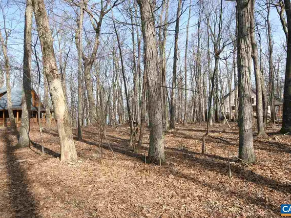 1449 Laurel Springs Dr, Roseland, VA 22967