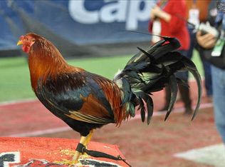 1049 Key Rd UNIT 59, Columbia, SC 29201