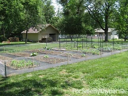 Custom garden space