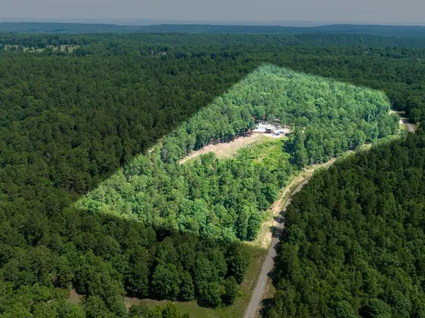 40220 Reece Creek Rd, Bigelow, AR 72016