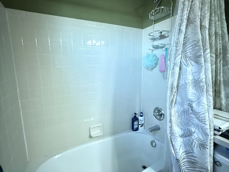 Primary bedroom en suite bath