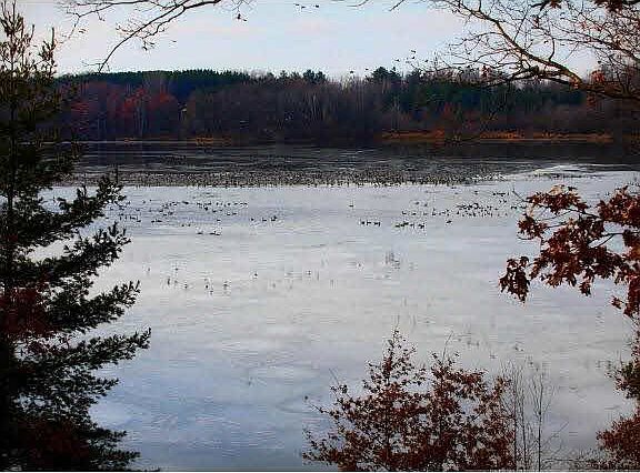 4th image of 1514 Bridget Lake Lane