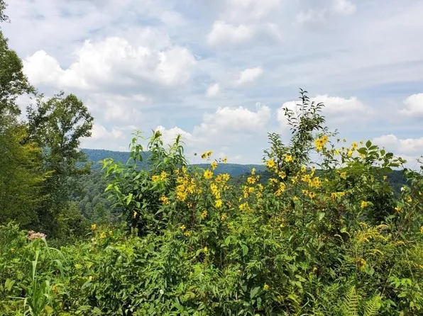 1 & Lot 2, Terra Alta, WV 26764