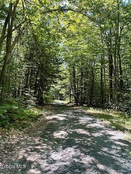 3rd image of L 11 Horse Hill Rd. Rear Road