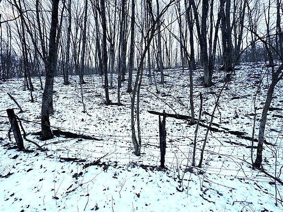 5th image of Toms Run