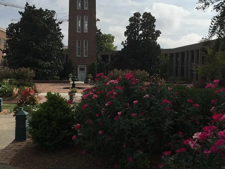Enjoy the convenience of Belmont University