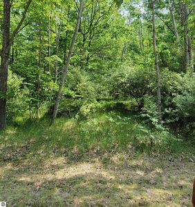 1144 Queensway Dr #463, Weidman, MI, 48893