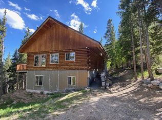 110 Hillside Rd, Idaho Springs, CO 80452
