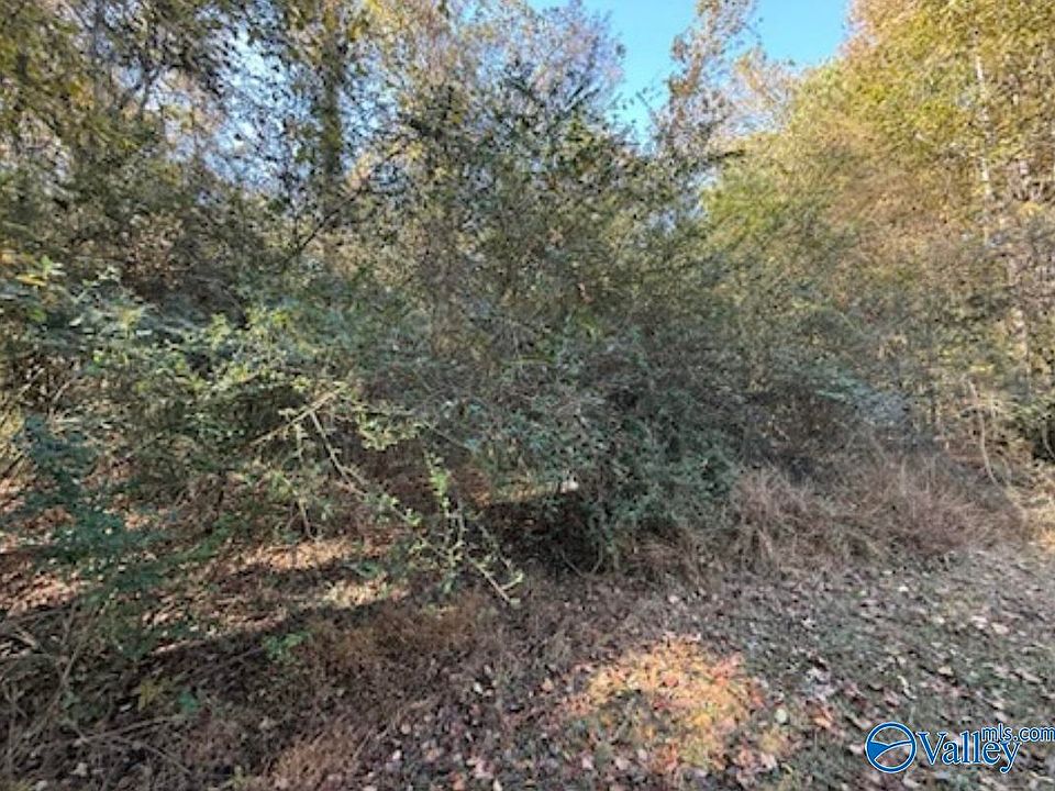 2nd image of LOT Hine St S