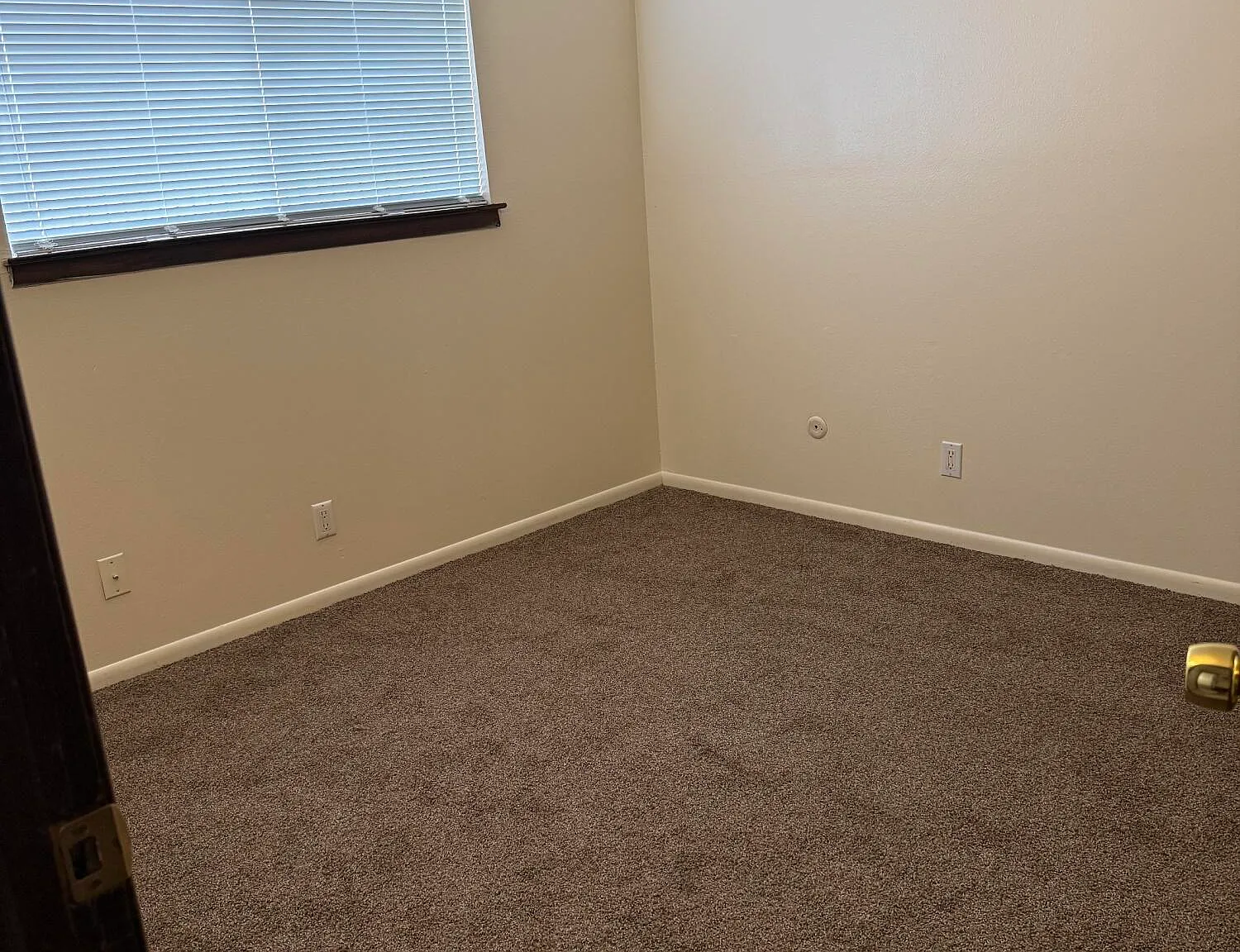 2 bed, 1.0 bath, 800 sqft, $1,200 — Photo 4