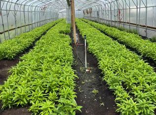 110 Aileen Ave, King, ON L3Y4V9