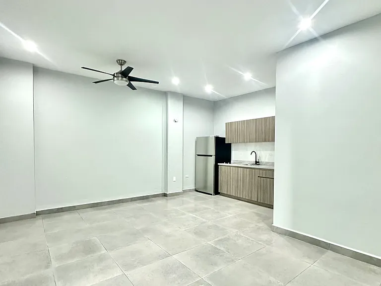 1504 Fernandez Juncos Ave #A — Photo 3