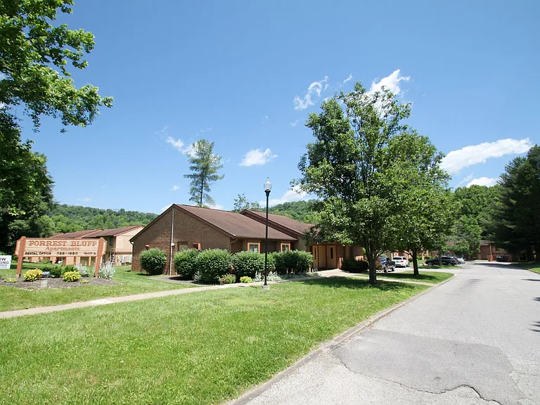 Forrest Bluff — Photo 34