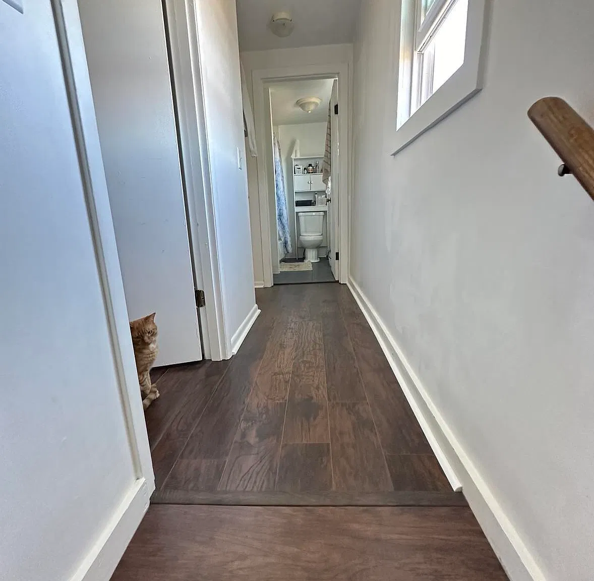 2 bed, 992 sqft, $1,300 — Photo 4