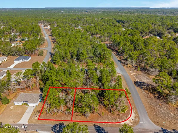 6932 N Glenridge Cir, Citrus Springs, FL 34434