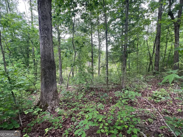 0 Bethlehem Church Rd, Grantville, GA 30220