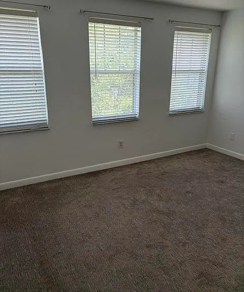 447 Corte Madera Ln #5 — Photo 15