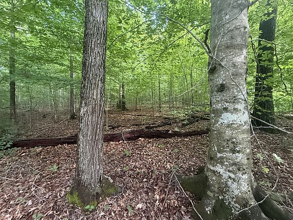 3rd image of 0 Caney Branch Rd Lot 23