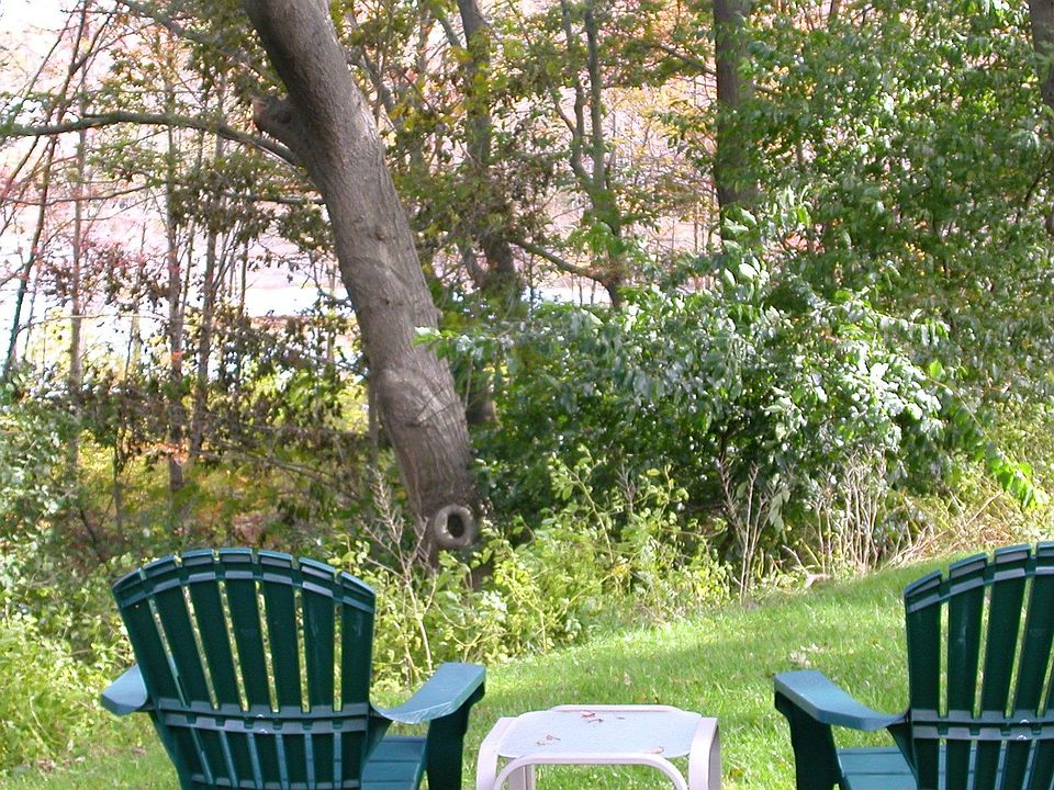 View of pond from back yard