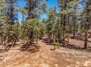 185 Sioux Trl, Westcliffe, CO 81252