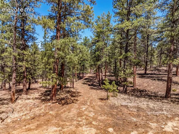 185 Sioux Trl, Westcliffe, CO 81252
