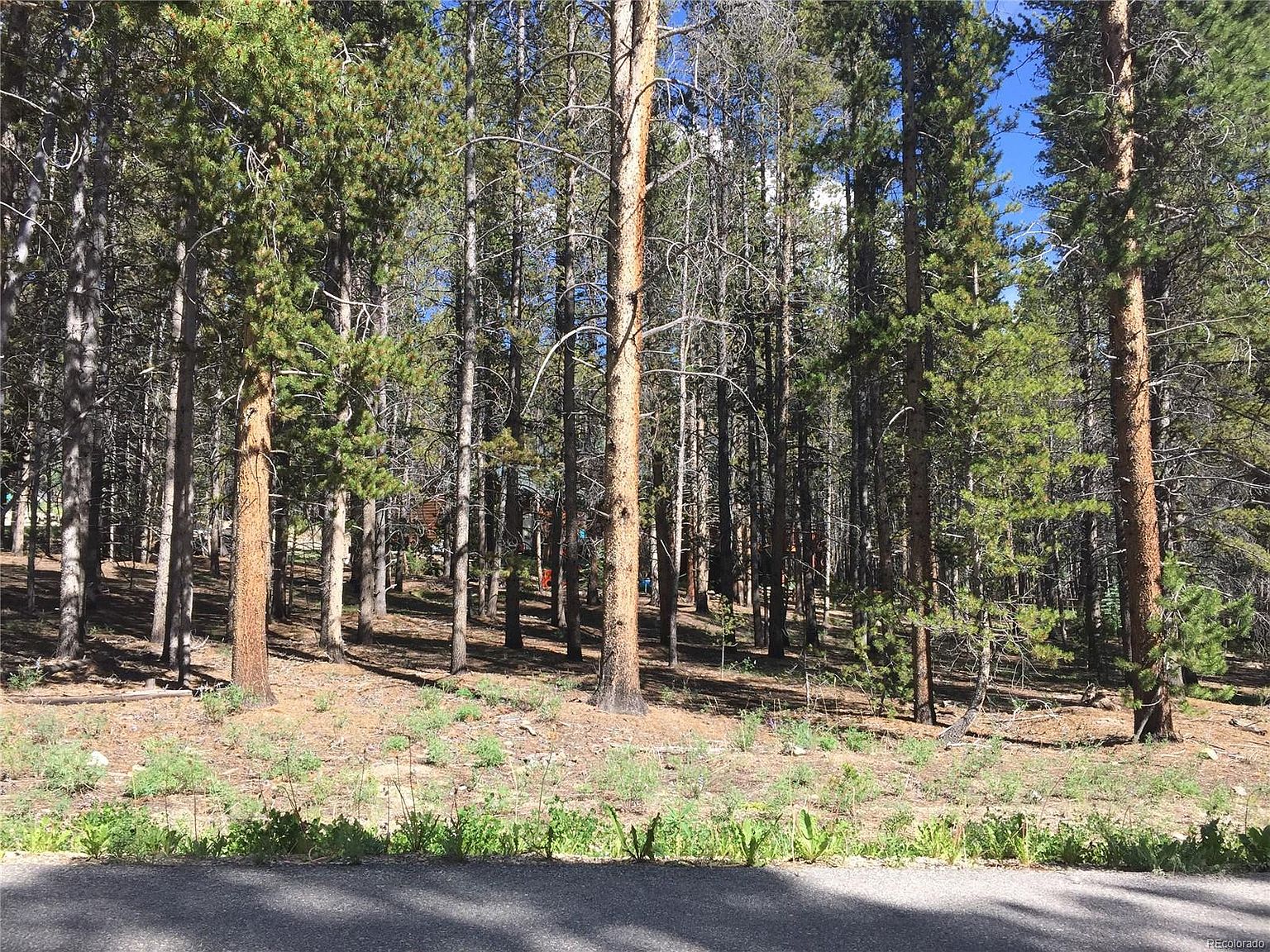 1010 Ruby Ln, Leadville, CO 80461 Zillow