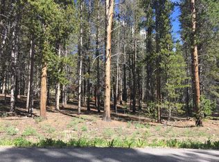 1010 Ruby Ln, Leadville, CO 80461