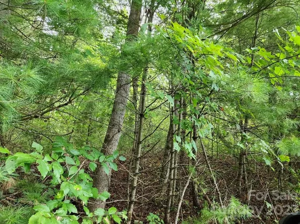 Sidewinder Dr #42 & 43, Green Mountain, NC 28740