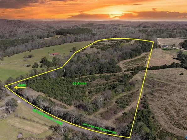 1 Seven Bark Ln, Oneonta, AL 35121