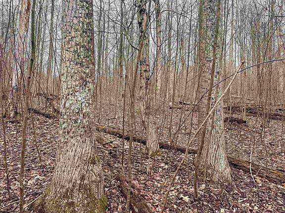 2nd image of LOT 1 Red Rock Rd