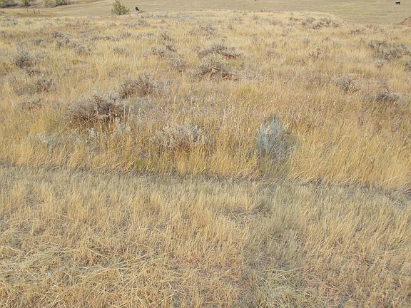 5th image of Bitter Creek Rd