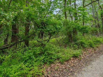 N Stewart St, Creve coeur, IL, 61610