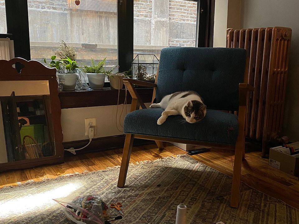 1st image of 846 W Montrose Ave APT 205