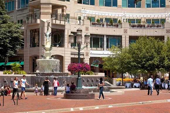 Harrison at Reston Town Center — Photo 46