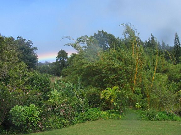 Main house yard shot