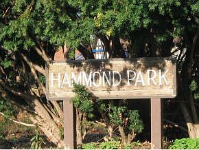 5th image of 277 Hammond Ave #355