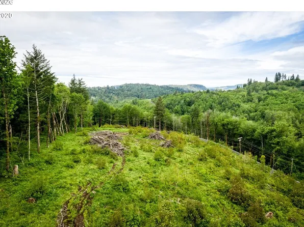 0 Mount Pleasant Rd, Washougal, WA 98671