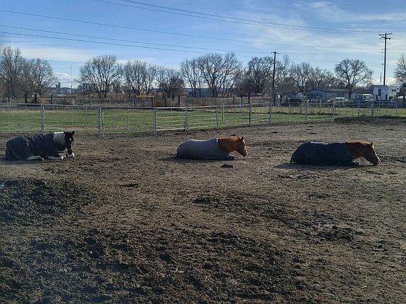 Arena and pasture area