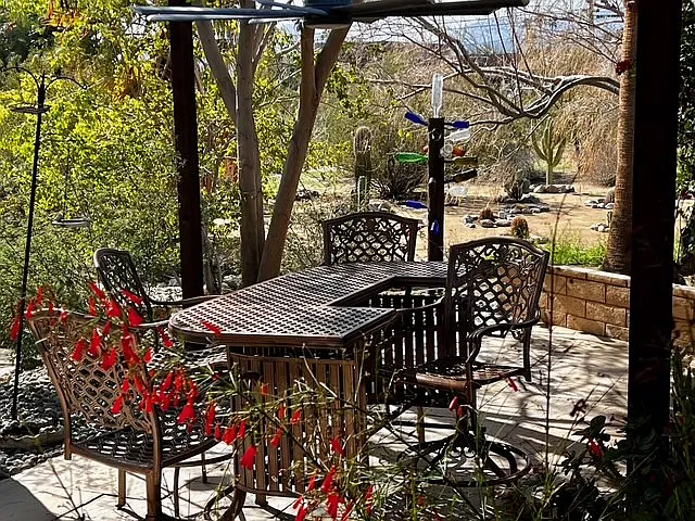 603 Verbena Dr — Photo 19