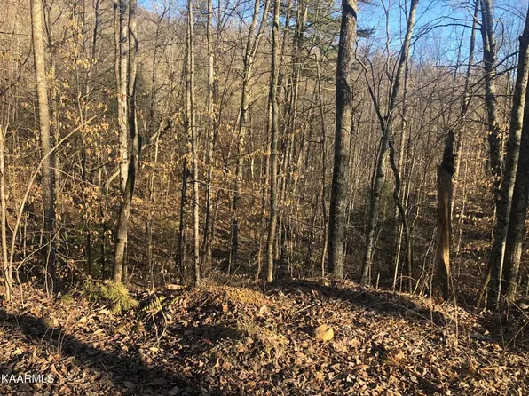 LOT 68 Yellowwood Dr, Sevierville, TN 37876