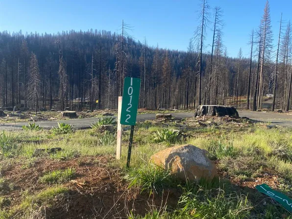 10122 Grizzly Flat Rd, Grizzly Flats, CA 95636