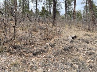 LOT 5 Paradise Valley Dr, Timberon, NM 88350