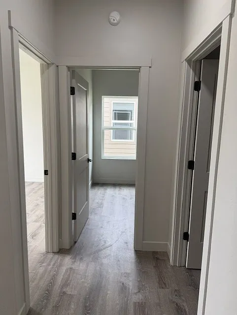 3 bed, 1450 sqft, $2,500 — Photo 3