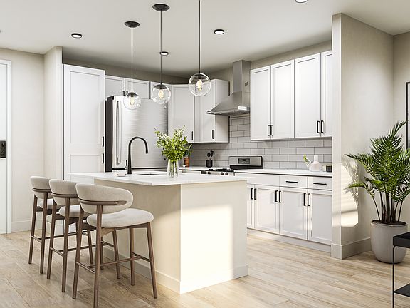 Luxury Kitchen