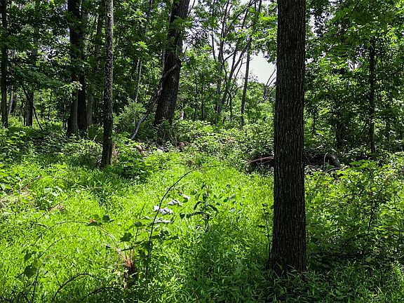 4th image of Deer Pond Lot 2 Drive