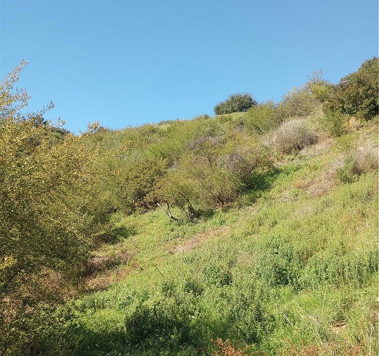 1st image of 0 Old Chimney Rd #107