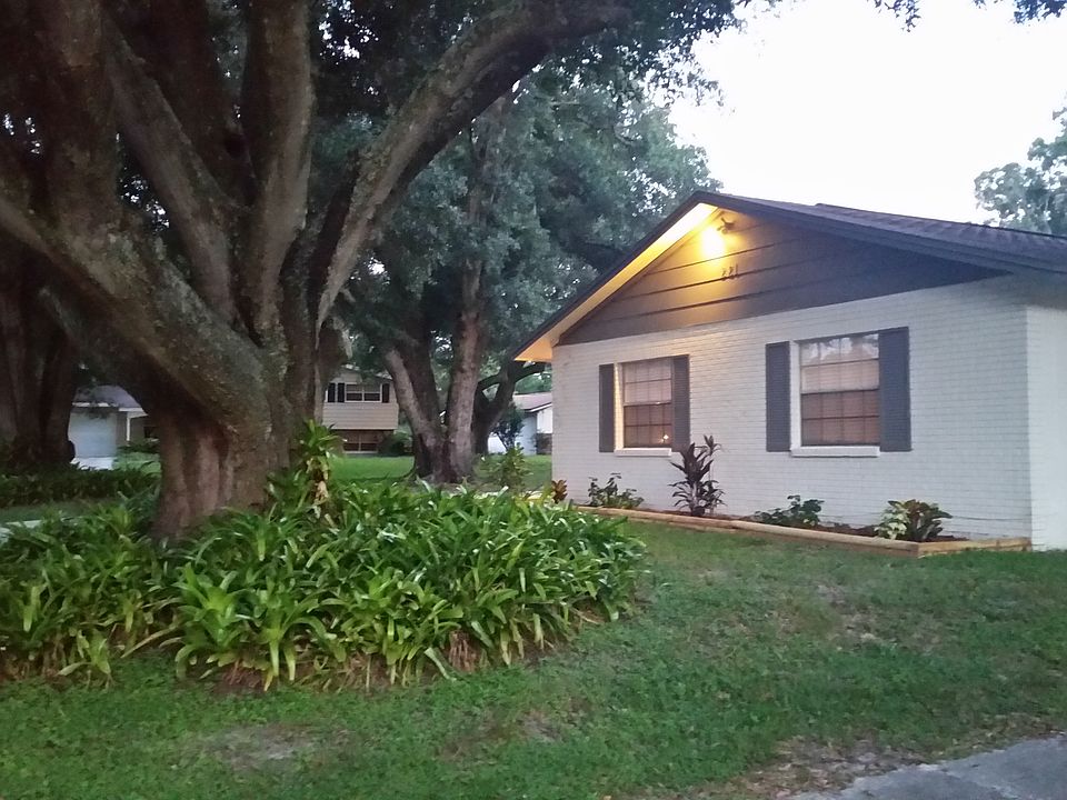 Beautiful Oak Trees
