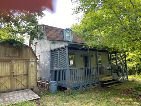 164 Goodin Trl, Richwood, WV 26261