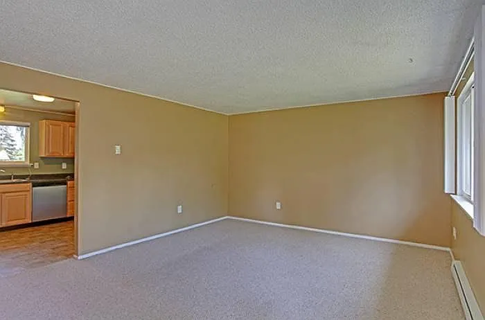 Large Living/Family Room!